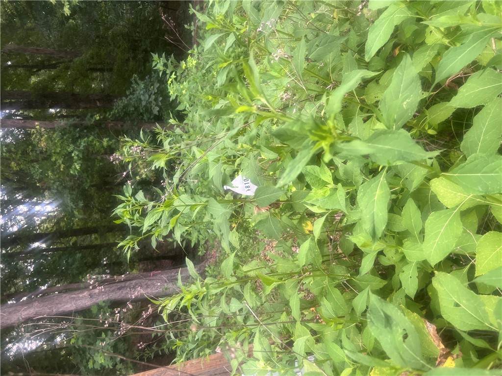 00 Arrowhead Drive - Photo 1