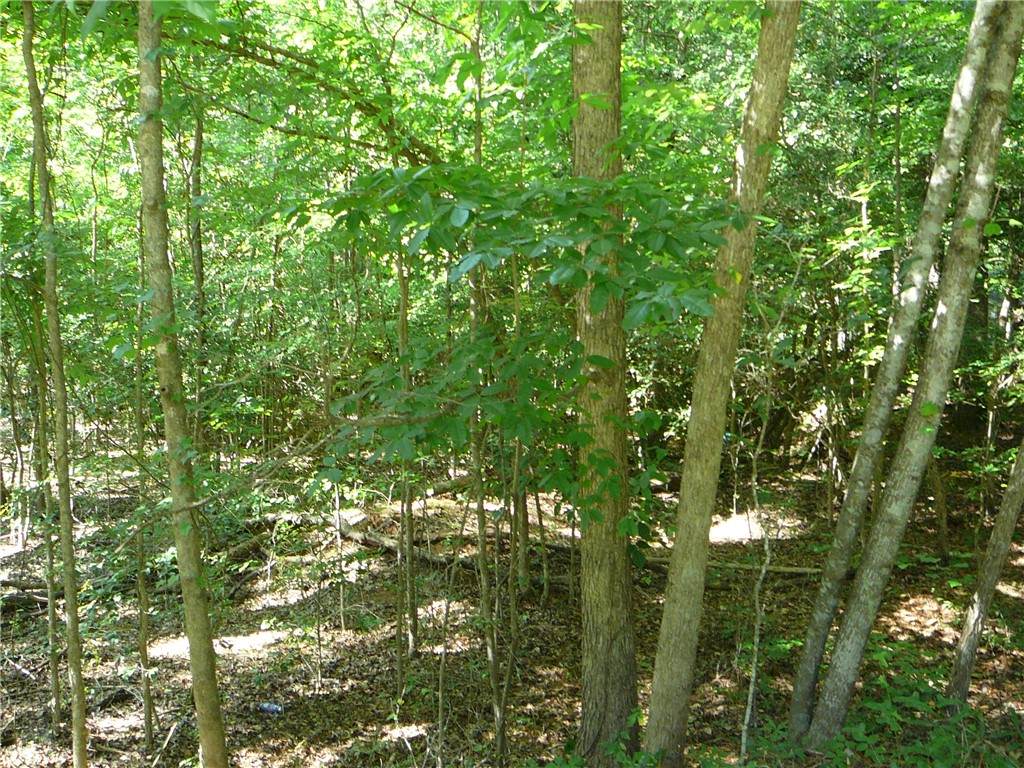 00 Broadway Heights Road - Photo 1