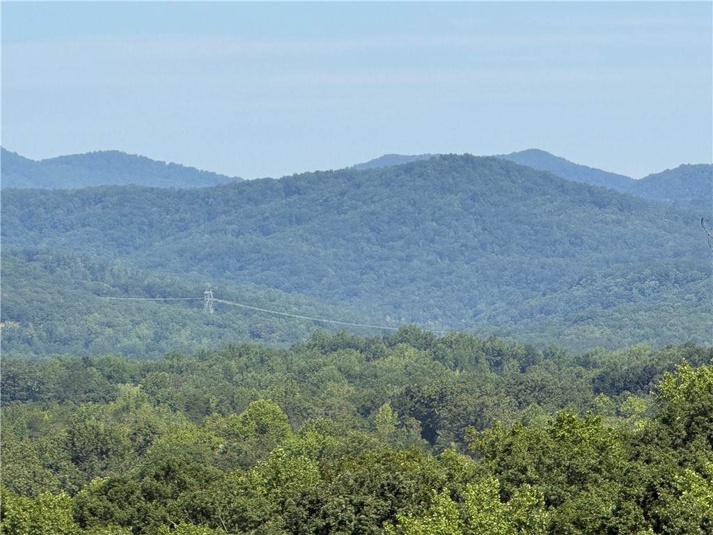1140 Packs Mountain Ridge Road - Photo 1