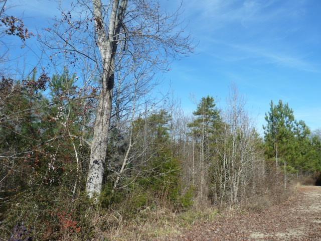 631 Providence Point Drive - Photo 1