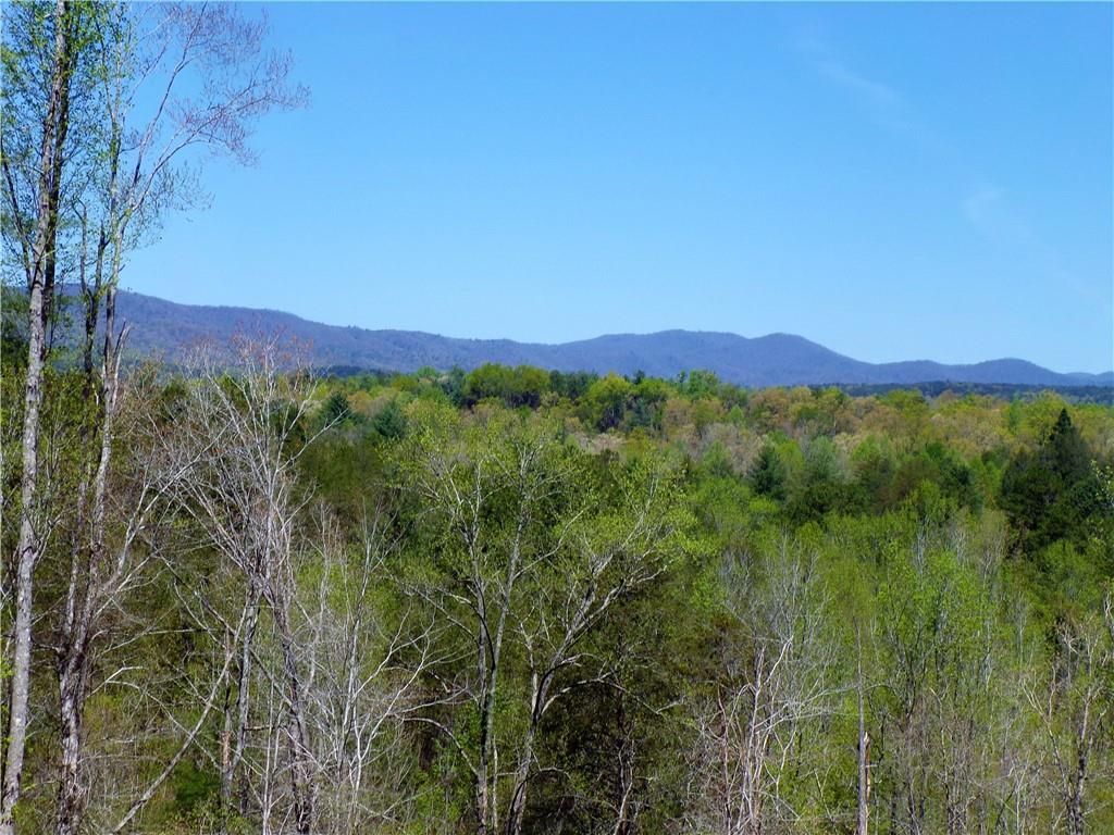 00 Whitewater Falls Road - Photo 1