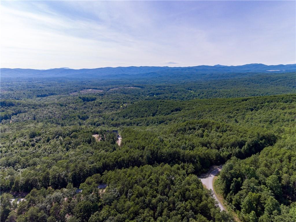 610 Tamassee Ridge Way - Photo 1