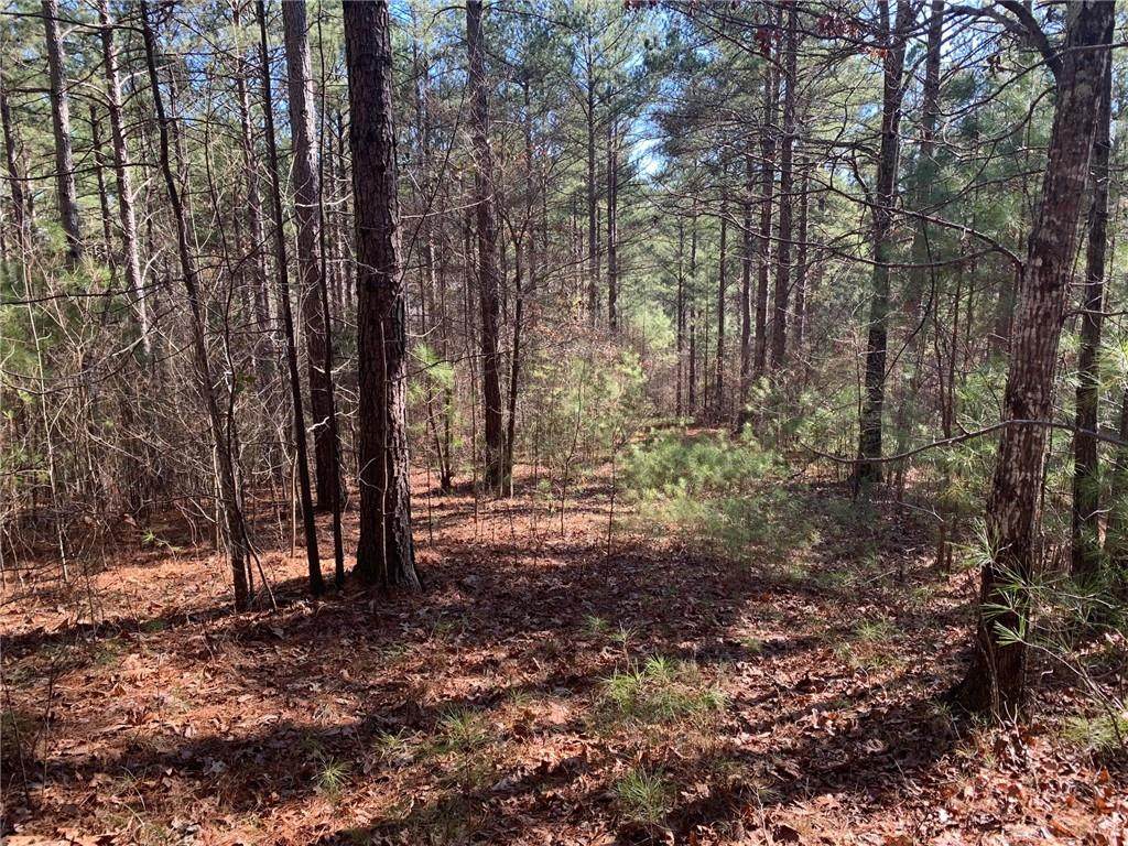 632 Pine Harbor Way - Photo 1