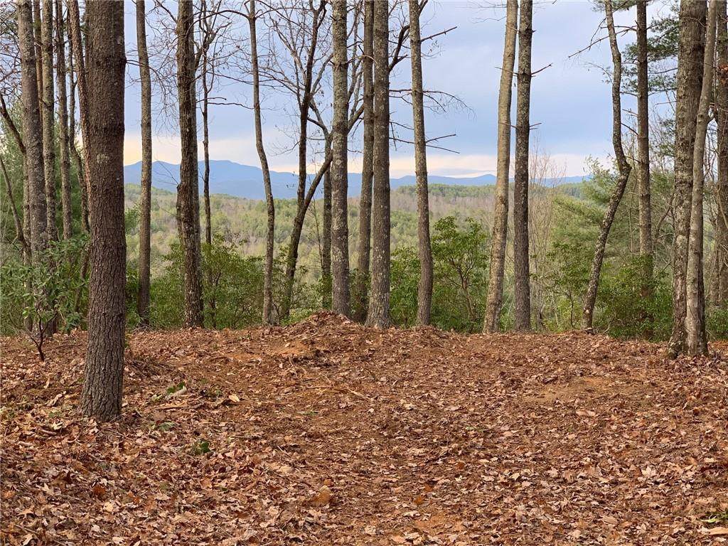 E28 Mountain Breeze Lane - Photo 1