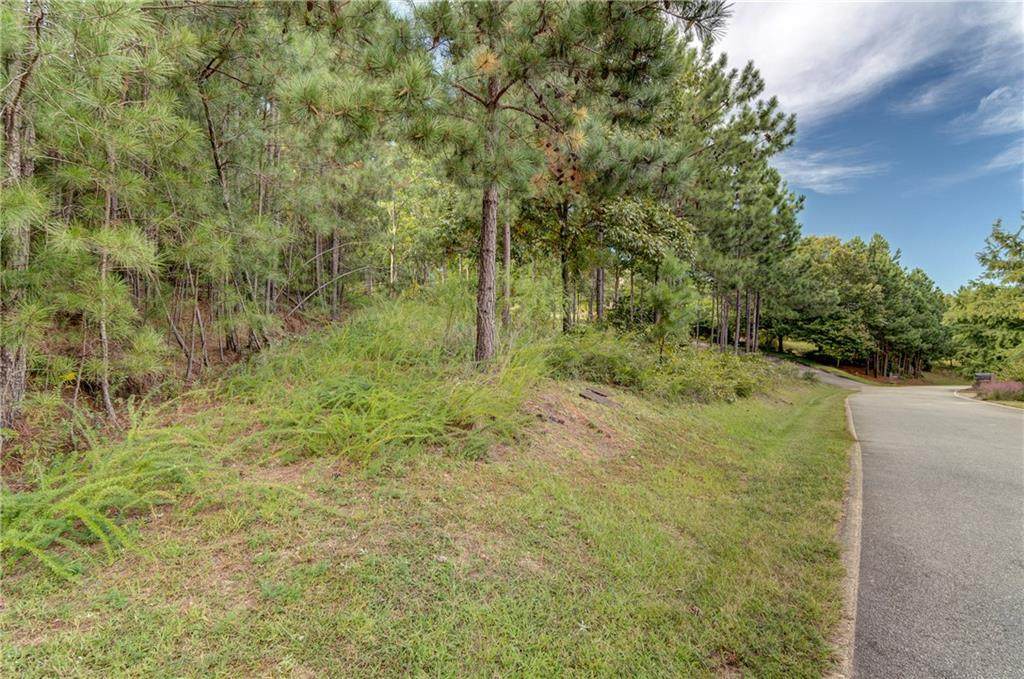 303 Eagle's Bend Trail - Photo 1
