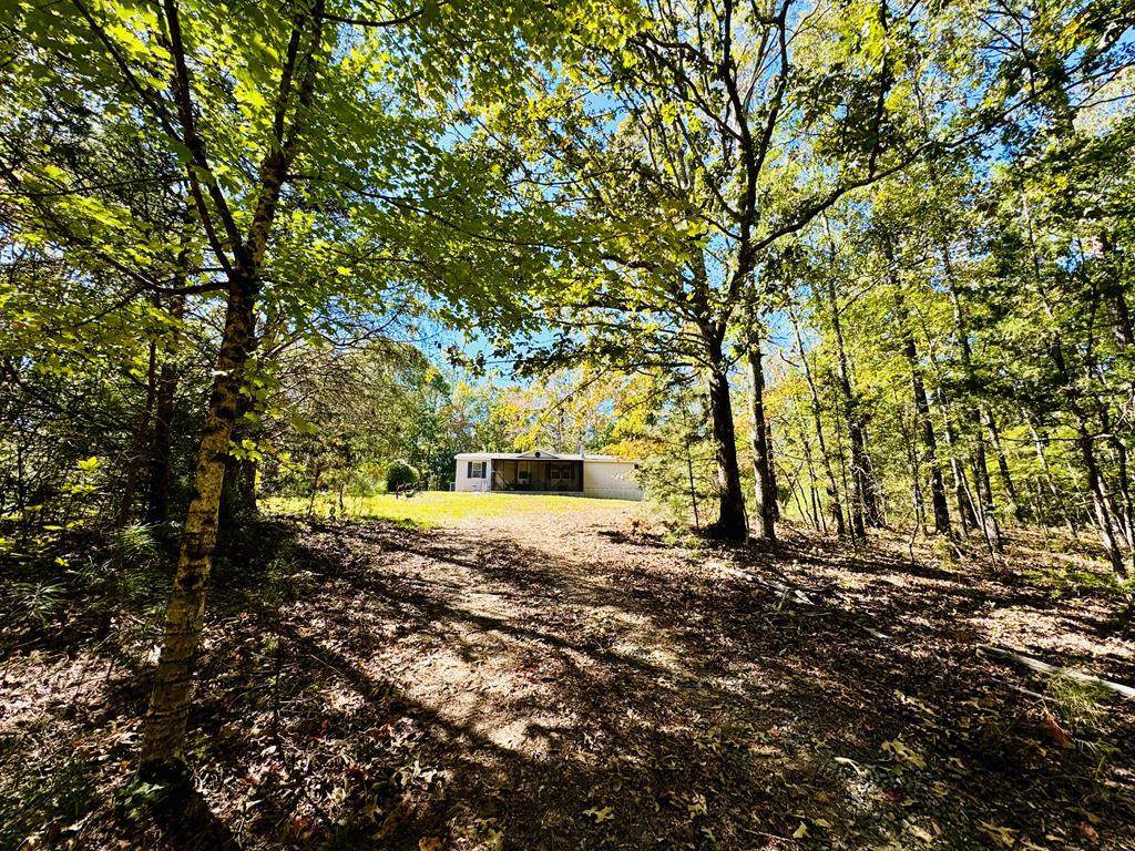 3180 Horseshoe Drive - Photo 1