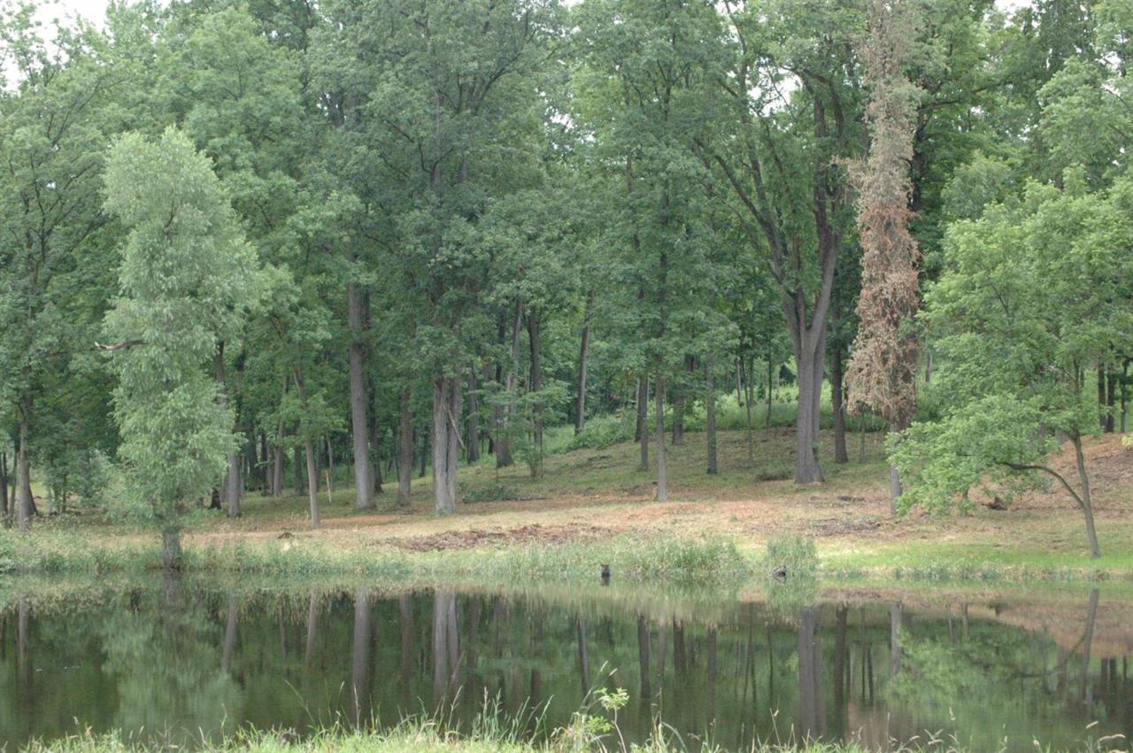 3359 Oak Hollow - Photo 1