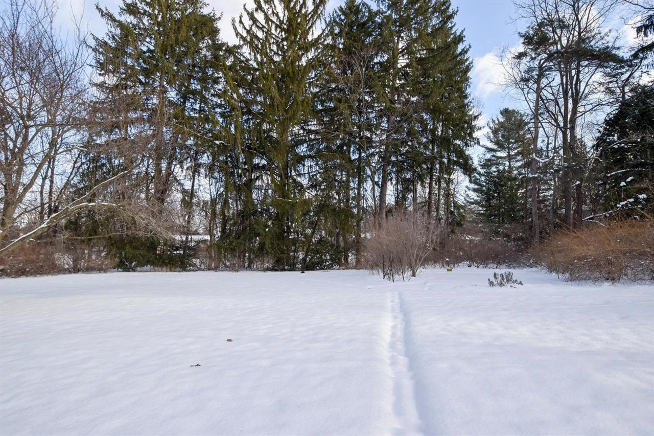 3105 Andrea Court - Photo 1