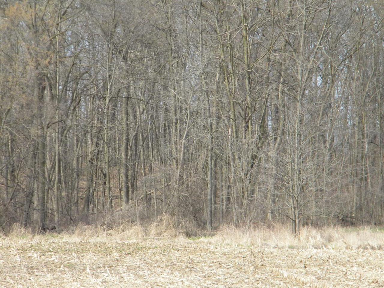 0 Sharon Hollow - Photo 1
