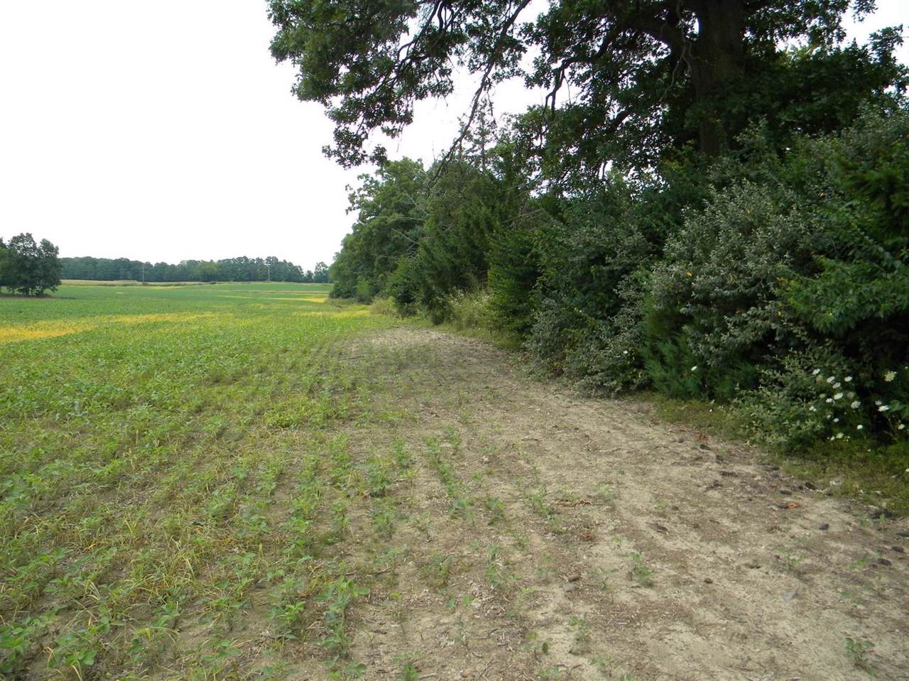 0 Lima Center Road - Photo 1