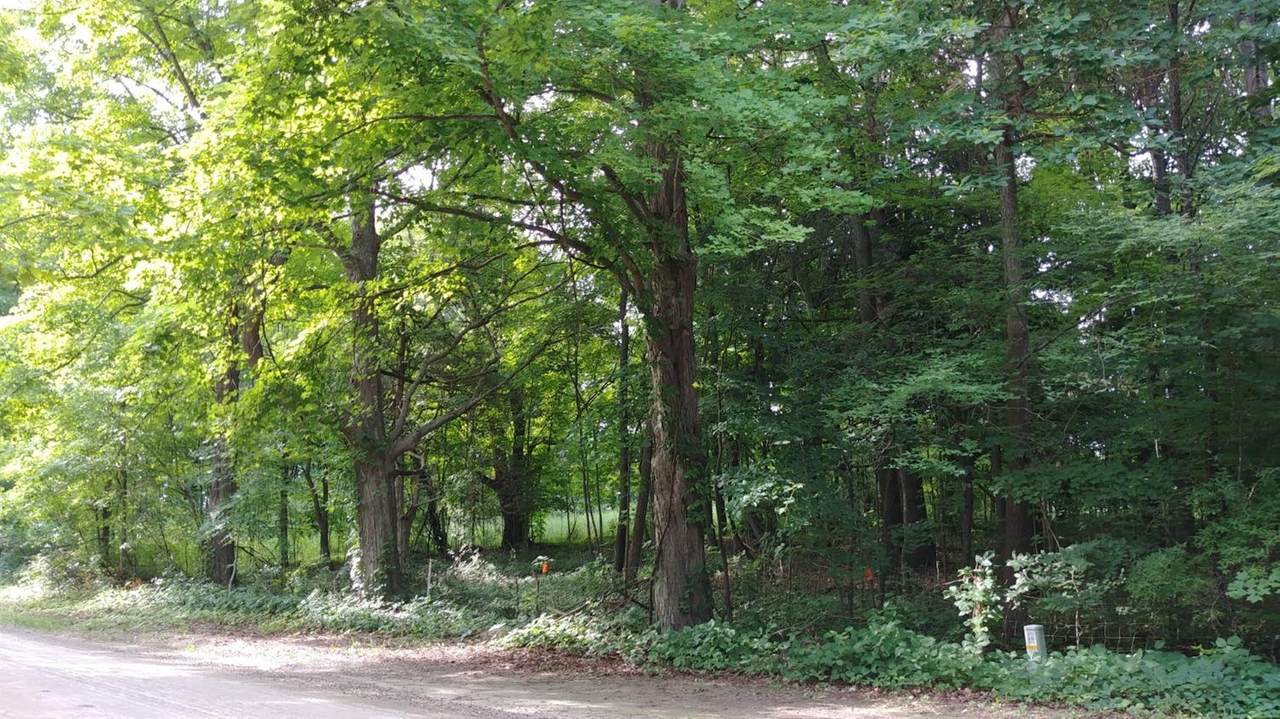 0 Island Lake Road - Photo 1