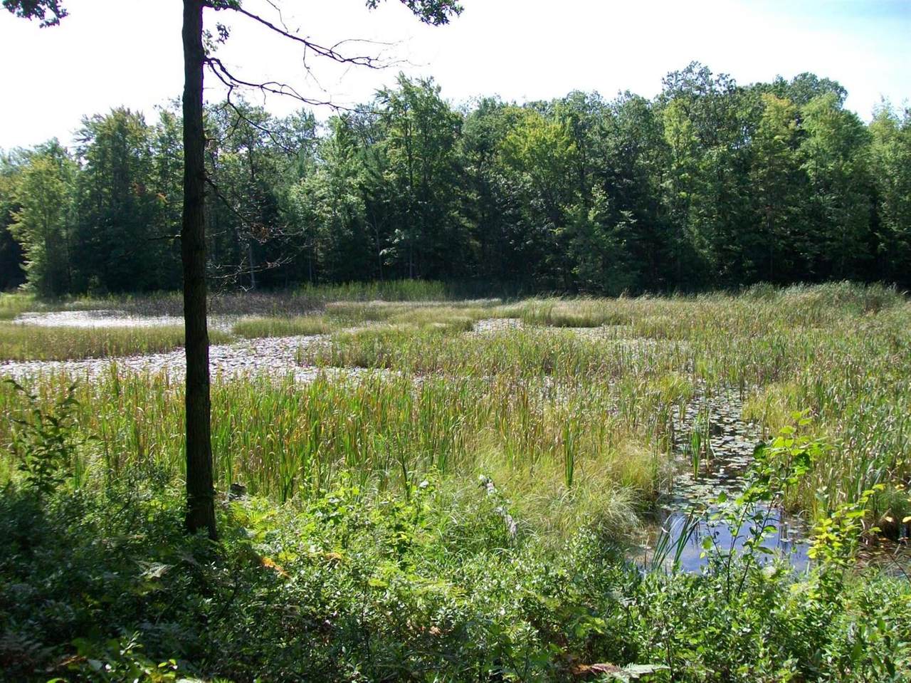 0 Cranberry Lake - Photo 1