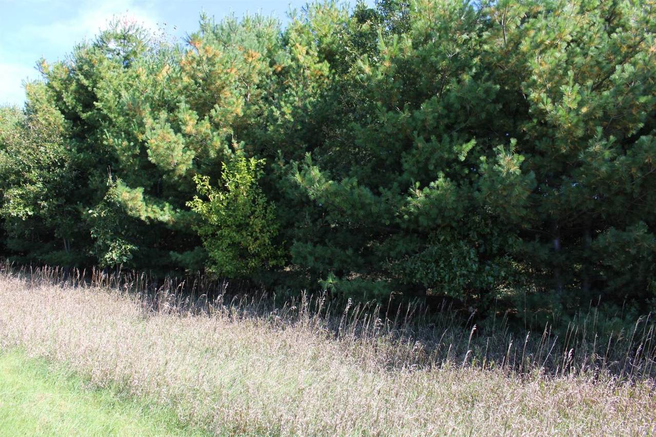 0 Wolf Lake B Road - Photo 1
