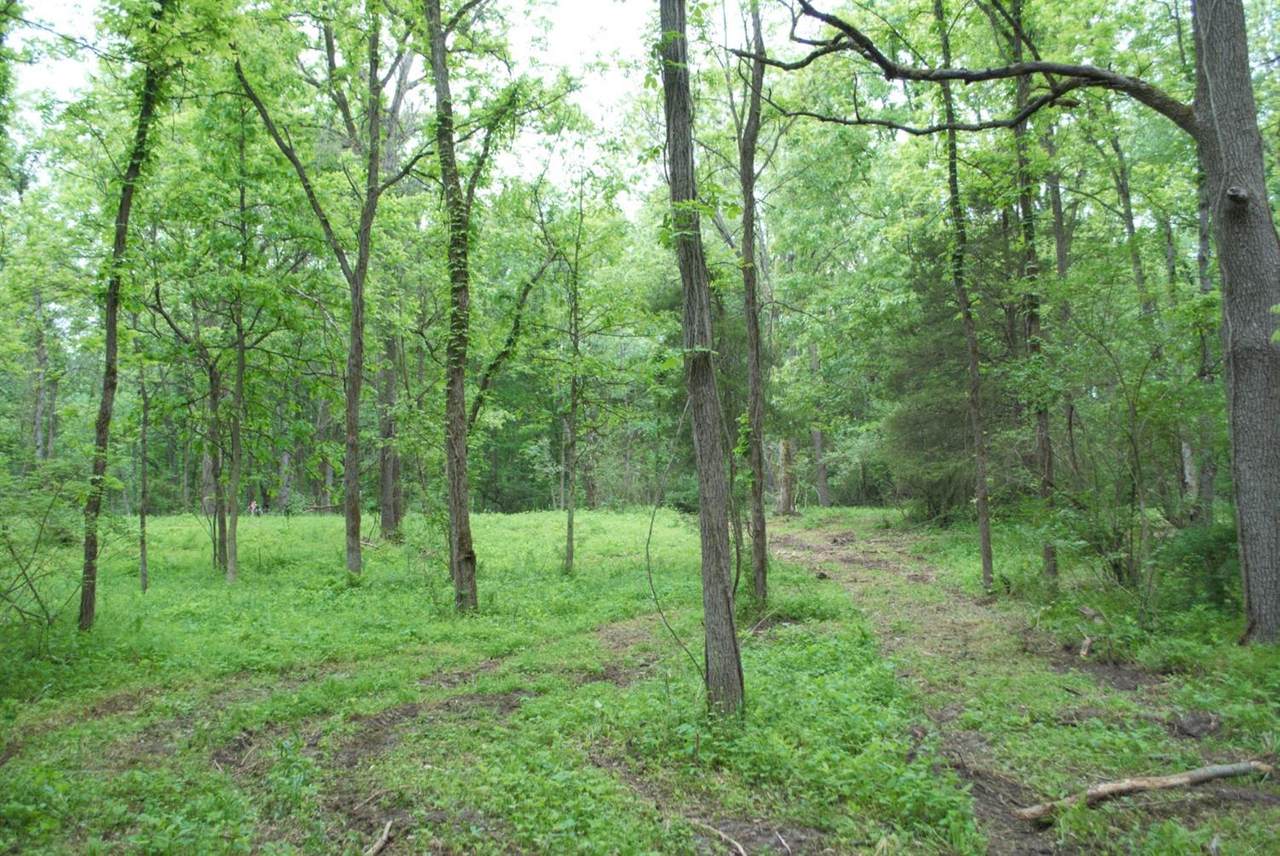 0 Parcel C Dexter Pinckney Road - Photo 1