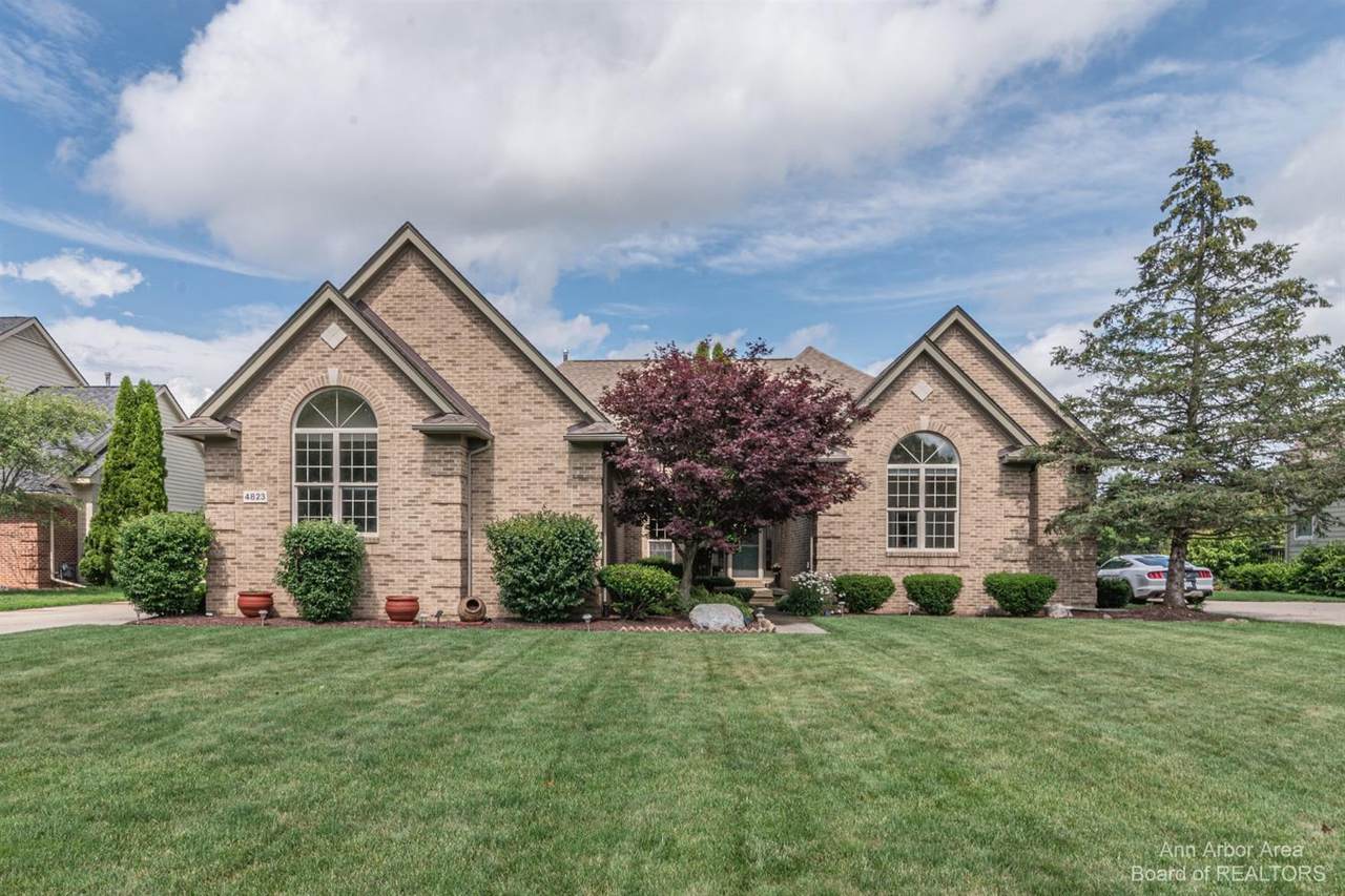 4823 Sawgrass Drive - Photo 1