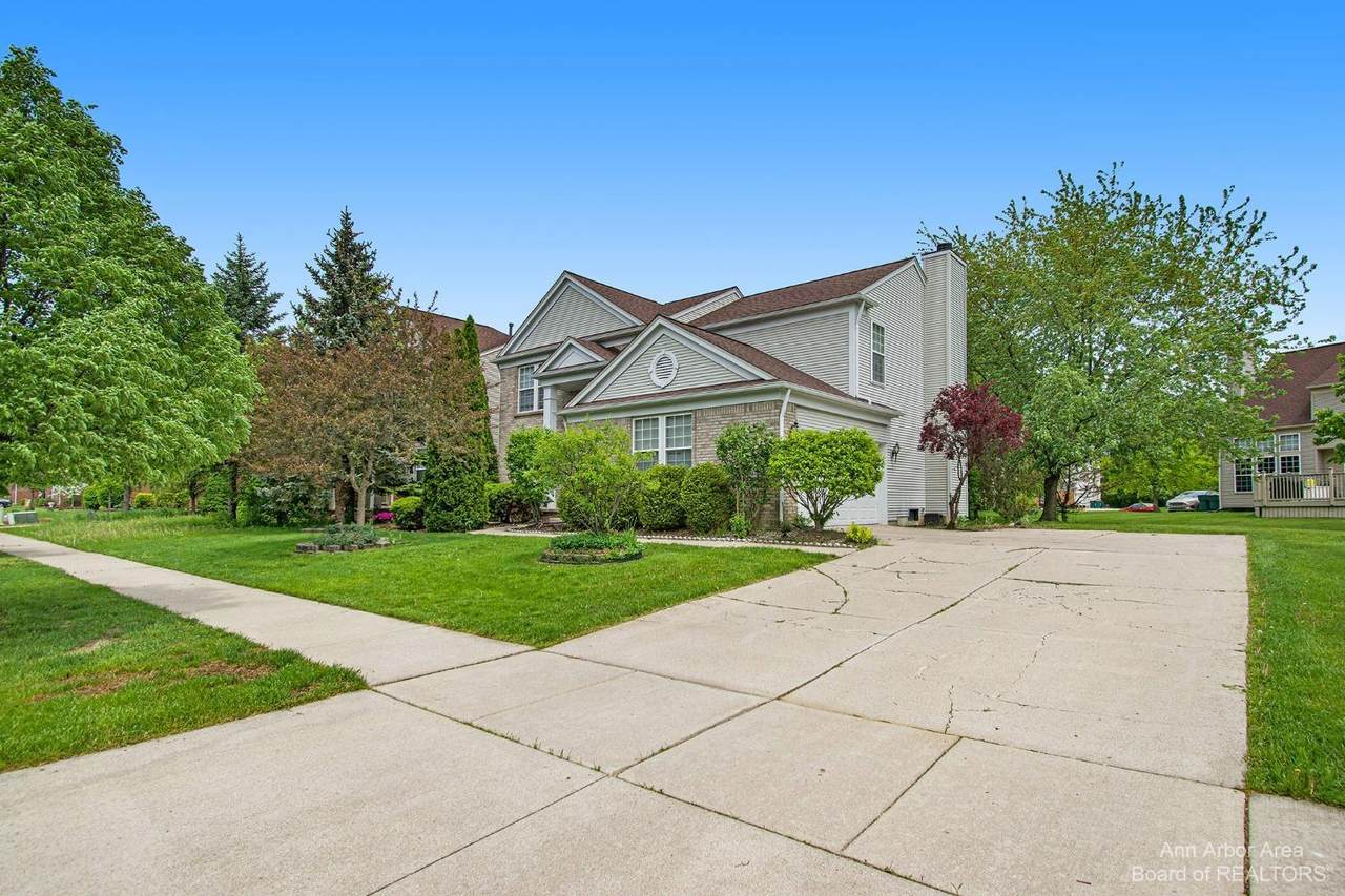 8279 Hummingbird Drive - Photo 1