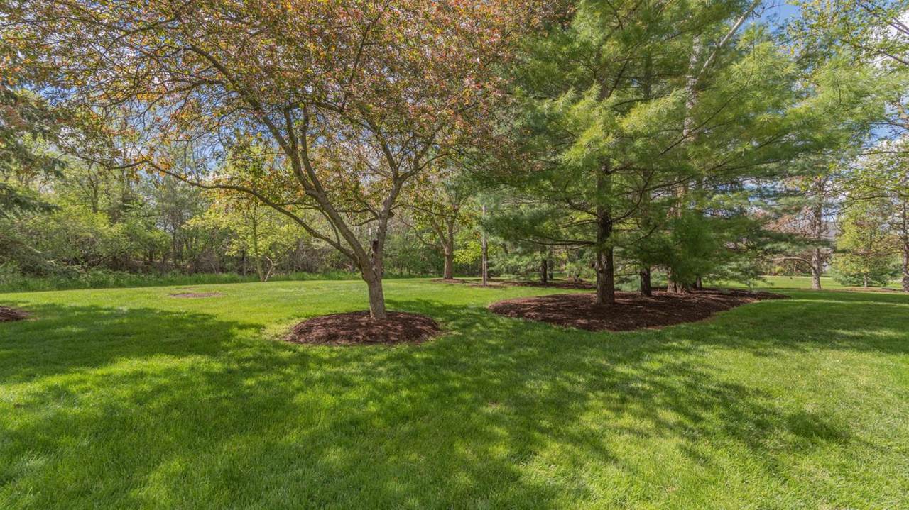 5052 Quincy Court - Photo 1