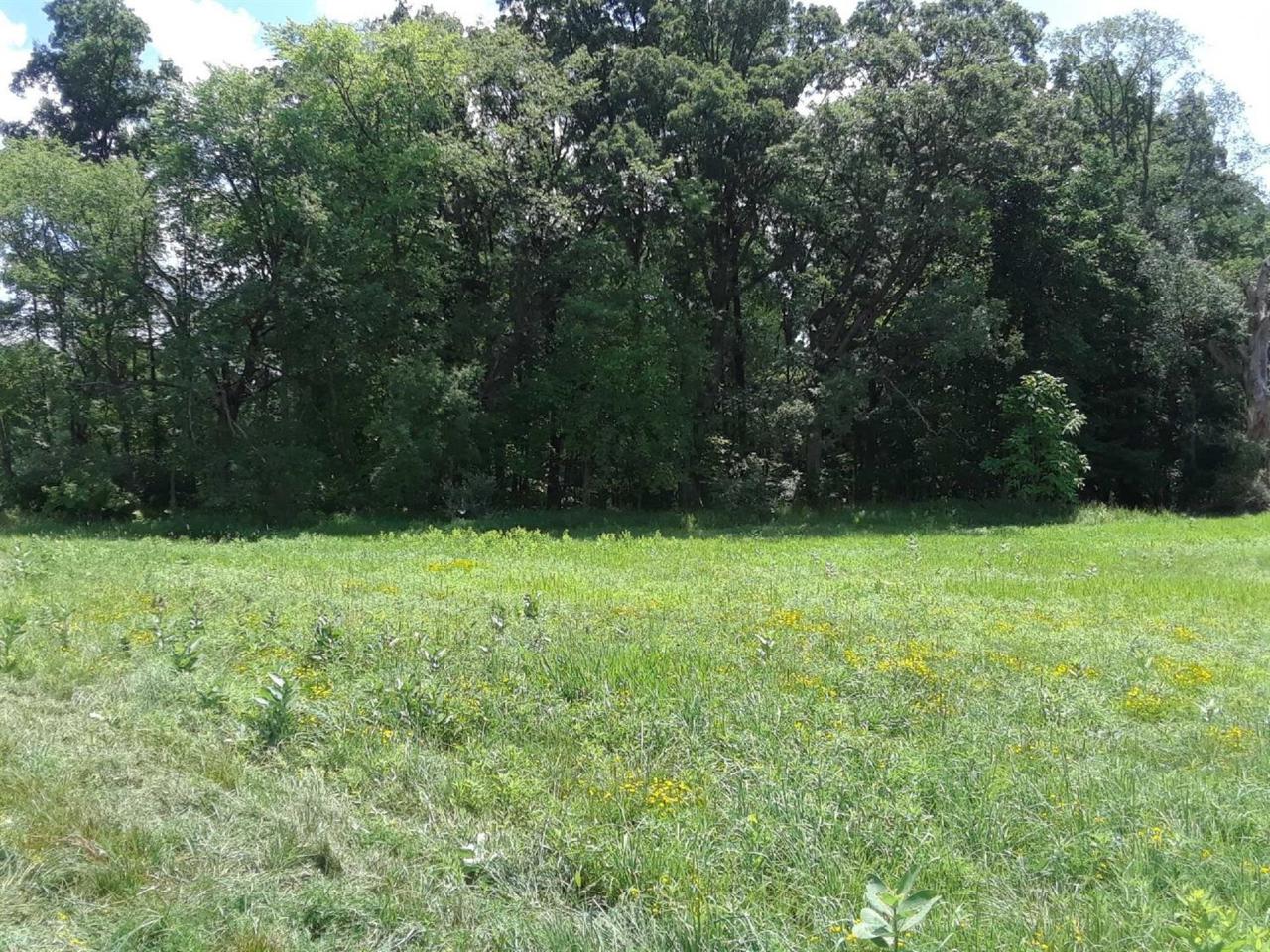 3989 Storybook Lane - Photo 1