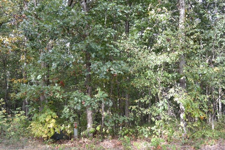 10052 Wildlife Ridge - Photo 1