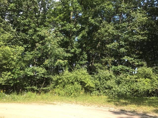 10055 Wildlife Ridge - Photo 1