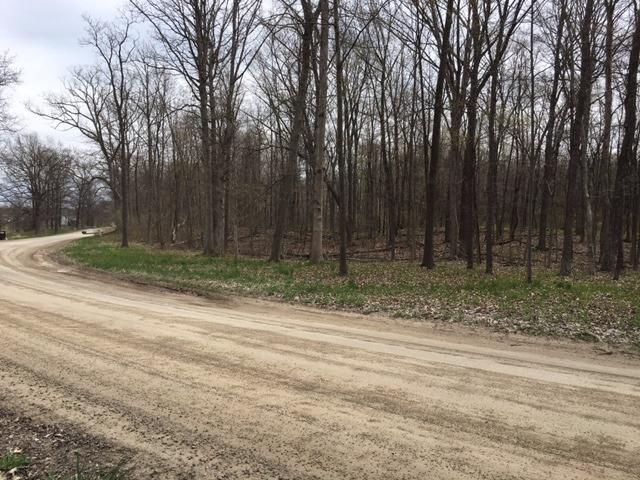 7468 Webster Church Road - Photo 1