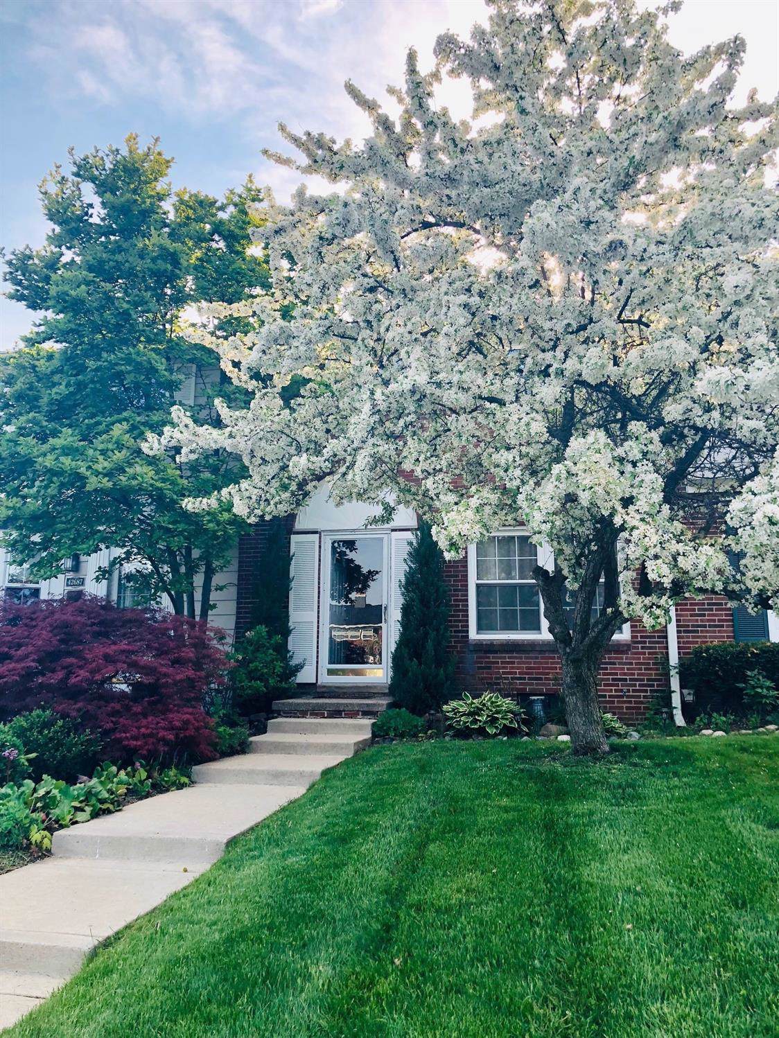 42691 Savoy Court - Photo 1
