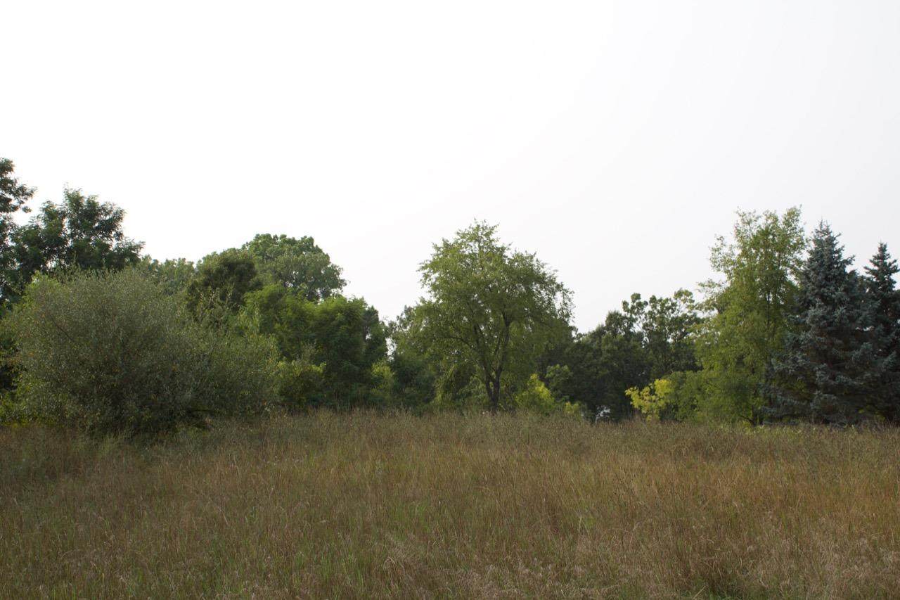 0 Wildflower Ridge - Photo 1