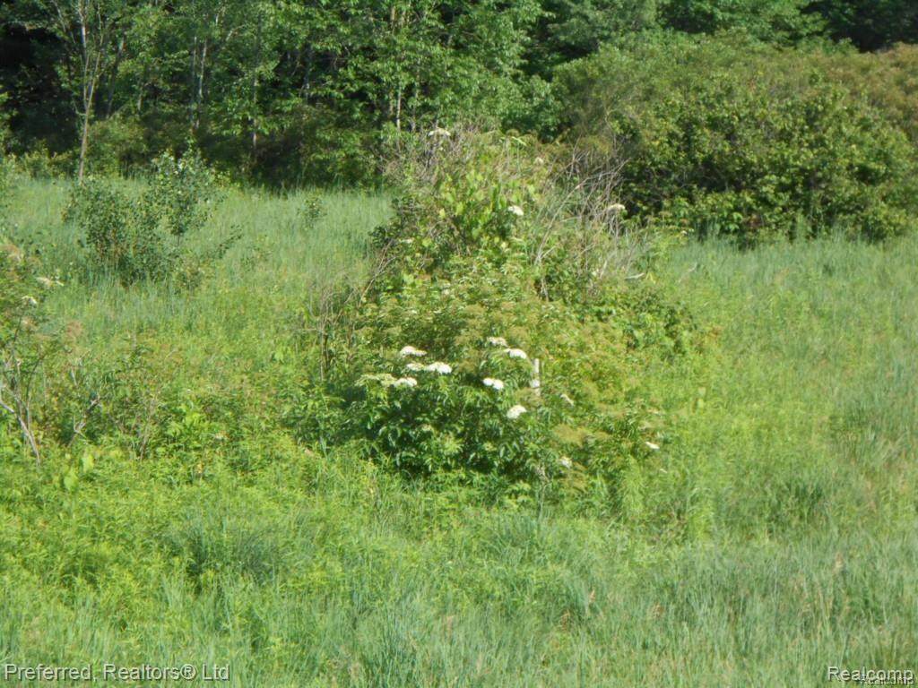 0 Warren Road - Photo 1