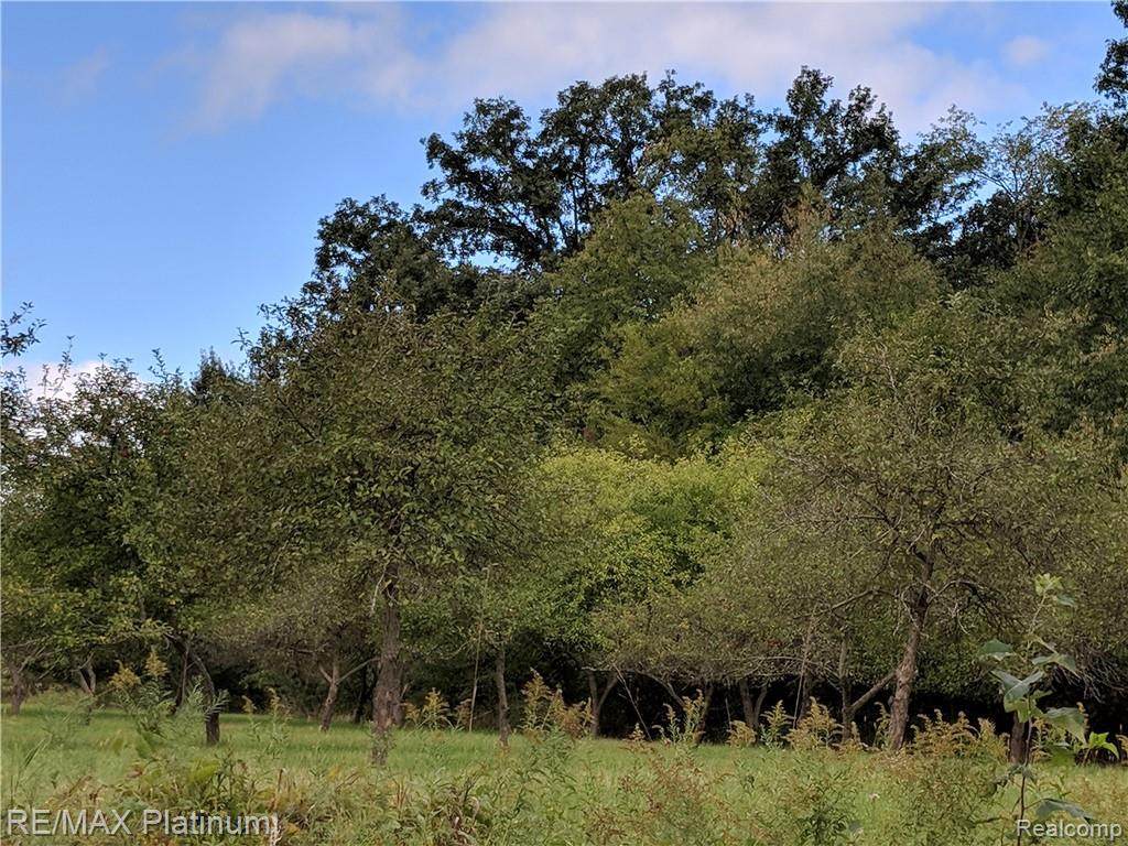 5525 Fleming Road - Photo 1