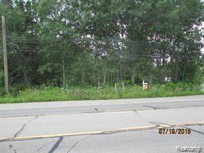 0 Ortonville Road - Photo 1