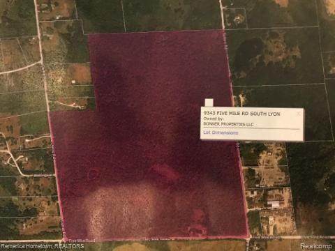 9343 Five Mile Road - Photo 1
