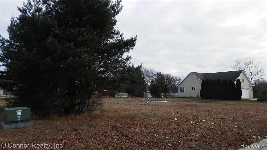 127 Liberty Avenue - Photo 1