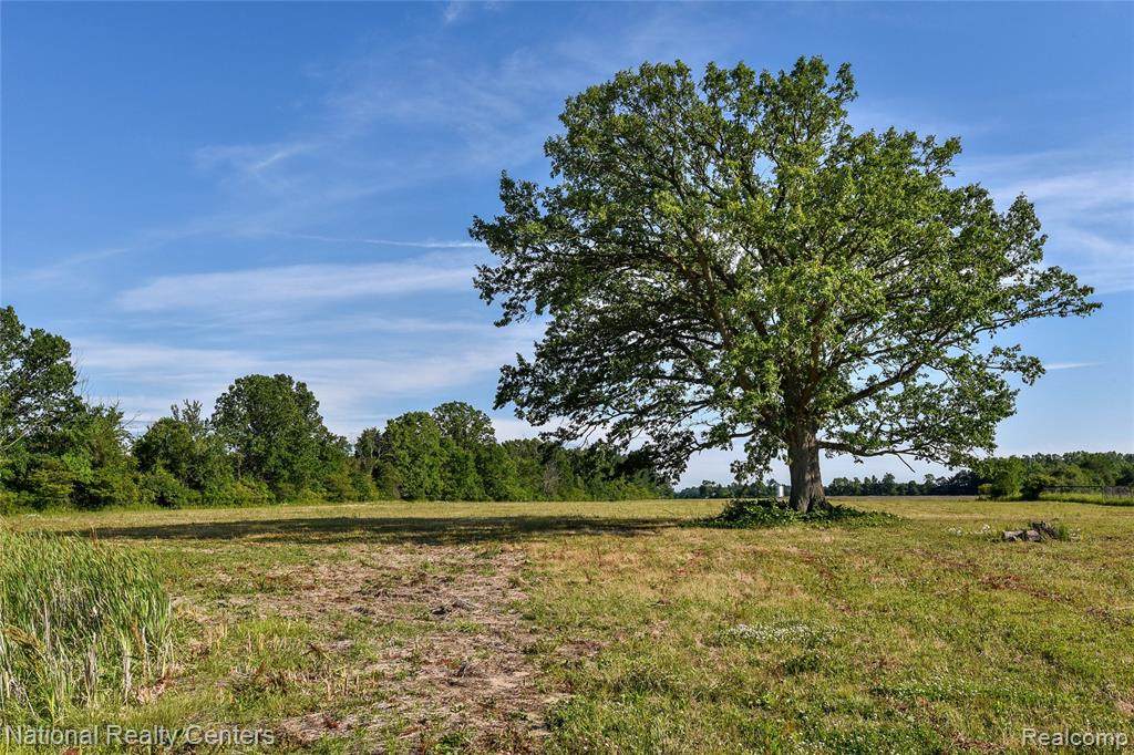 0 Hollow Corners Road - Photo 1