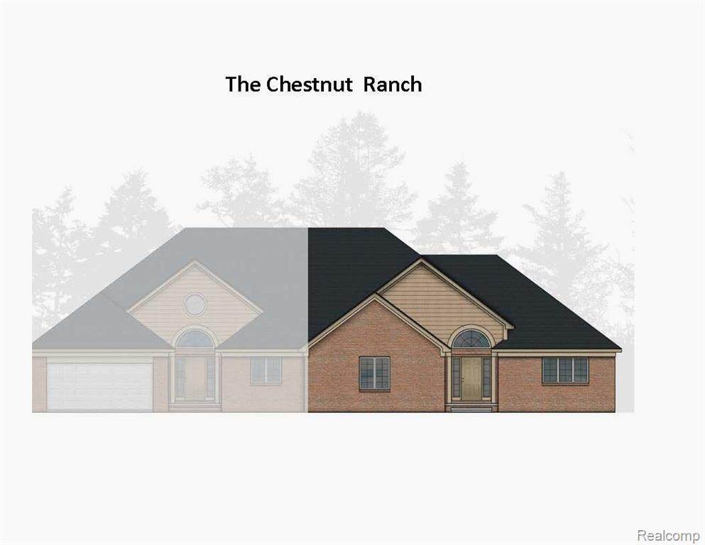 33833 Manistee Drive - Photo 1