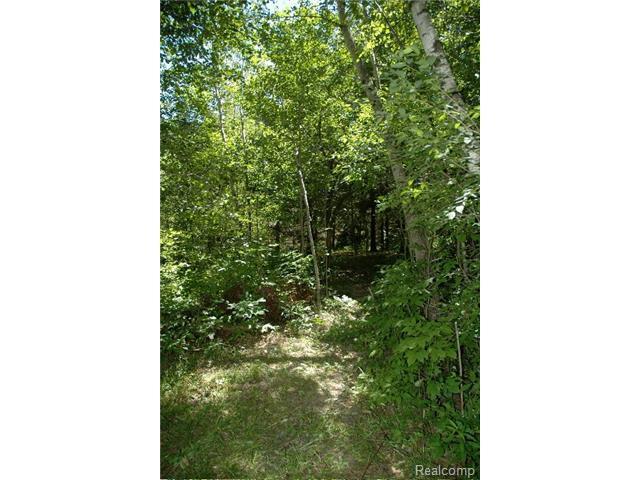 0 Baldwin Rd - Photo 1