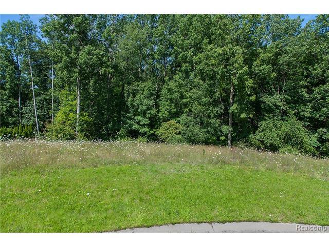 9033 Deerwood - Photo 1