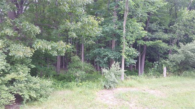 0 Kovacs Ln - Photo 1