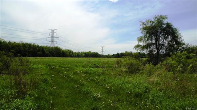 10347 Irish Rd - Photo 1