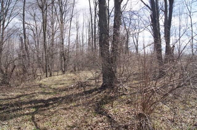 0 Columbiaville Road - Photo 1