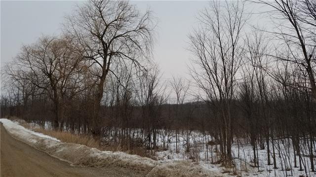 3 Hassler Lake Rd Road - Photo 1