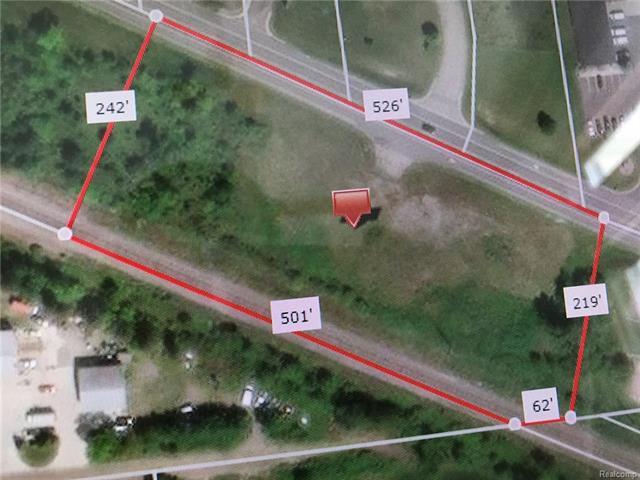 0 Imlay City Rd - Photo 1