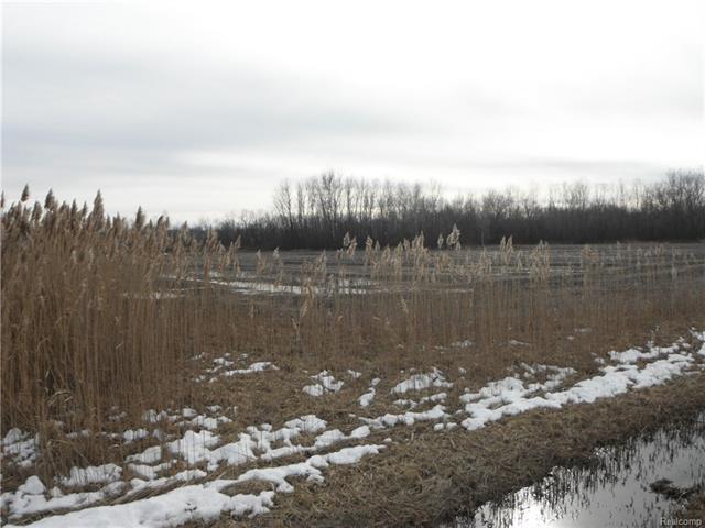 0 Willow Rd - Photo 1