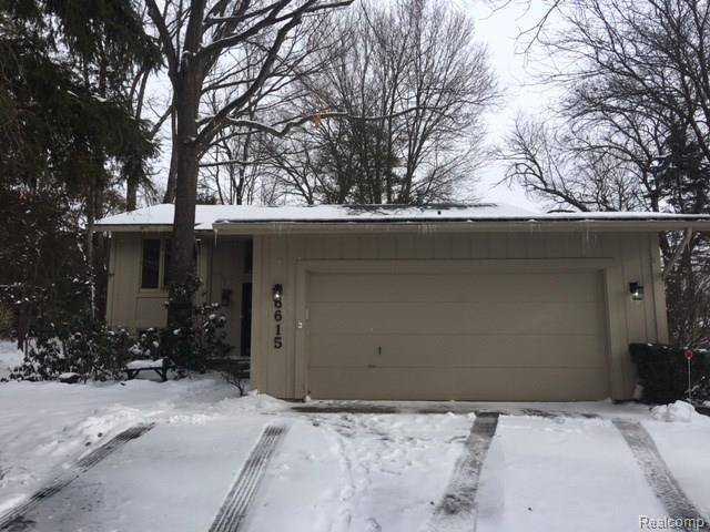 6615 Blue Spruce - Photo 1