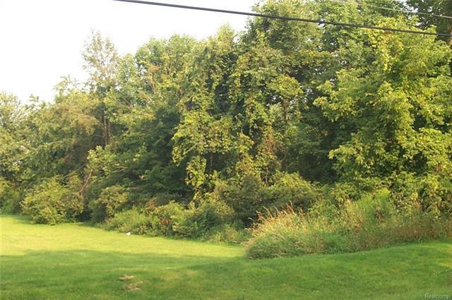 0 Kathy Lynn Ln - Photo 1