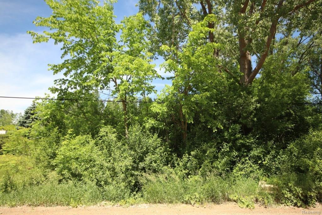 0 Mott Rd - Photo 1