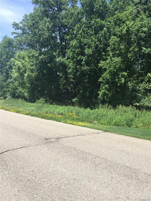0 Pine Bluffs Ct - Photo 1
