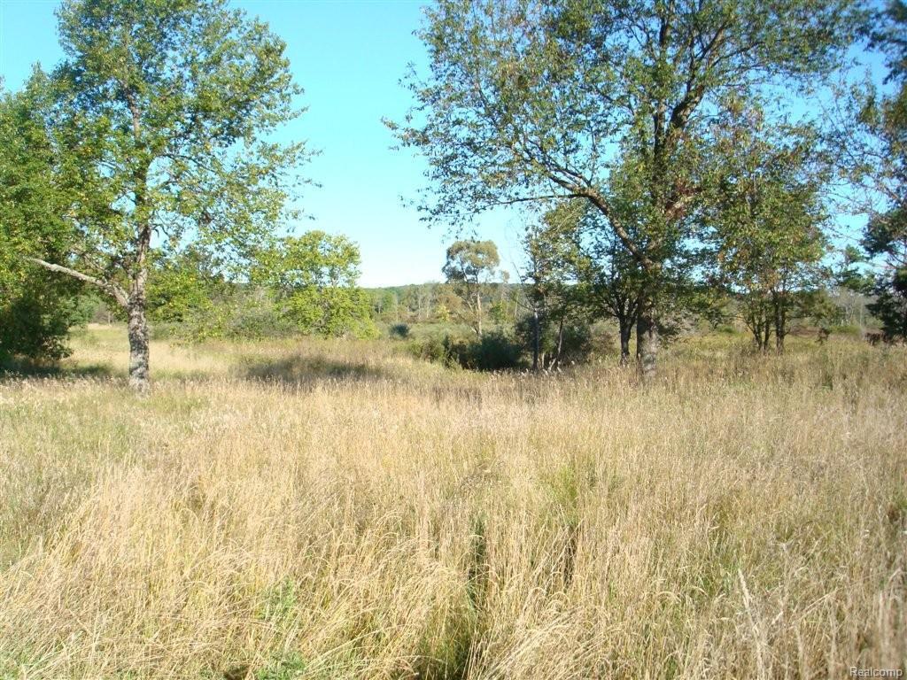 0 Casey Rd - Photo 1