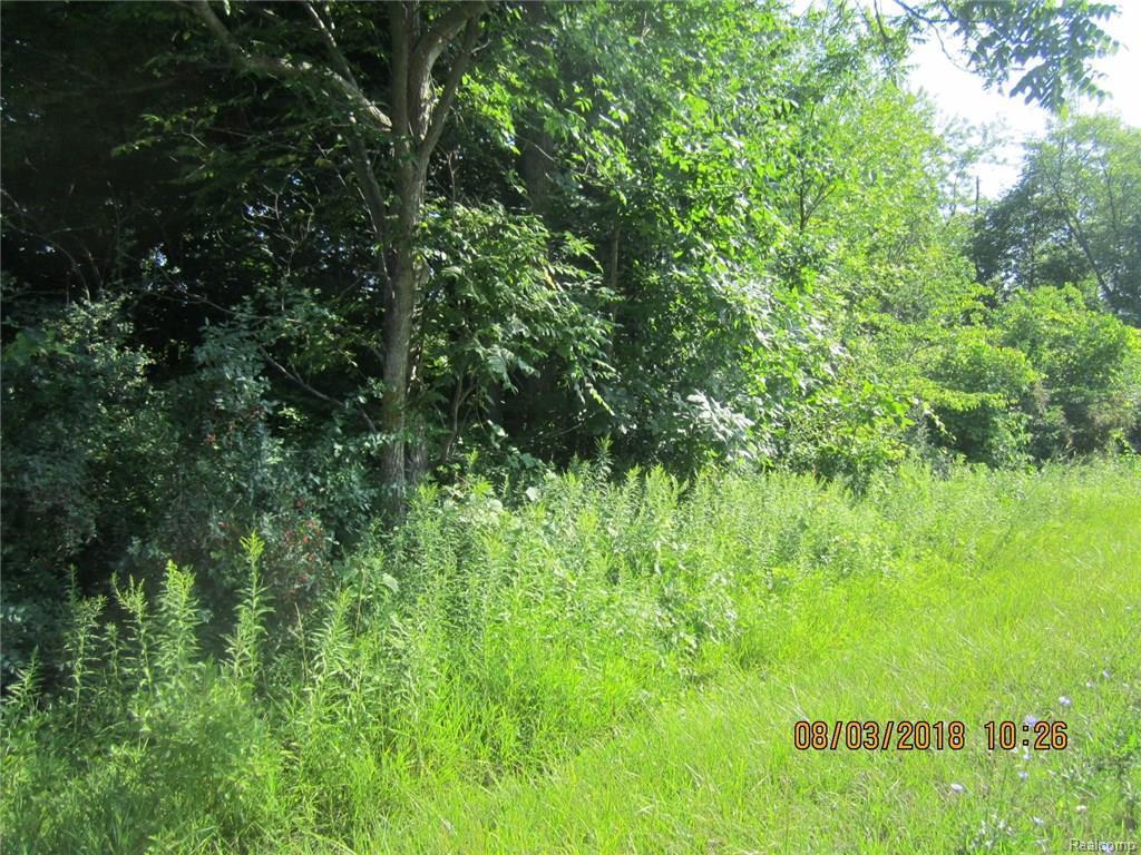 0 Bowers Rd - Photo 1
