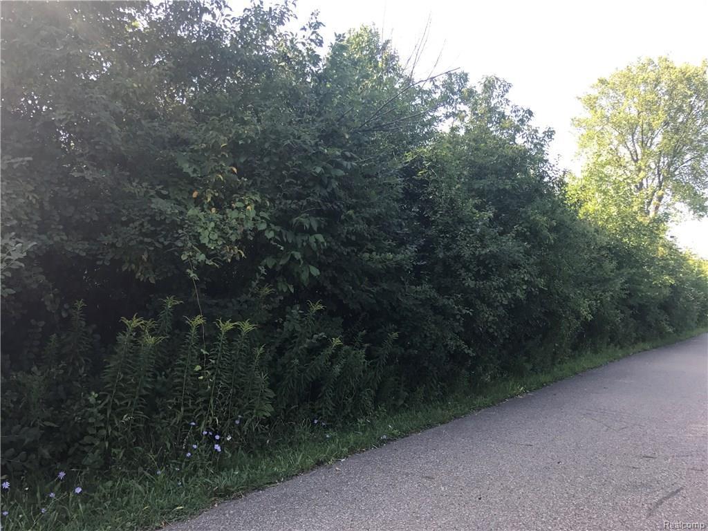 7440 Verona - Photo 1