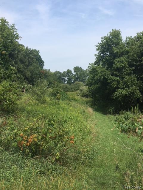0 Echo Ln - Photo 1